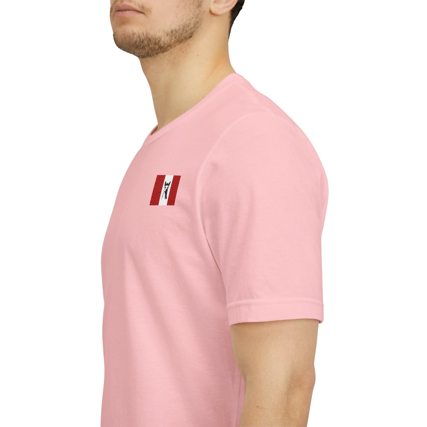 "Peruvian Flag/Llama" T-Shirt