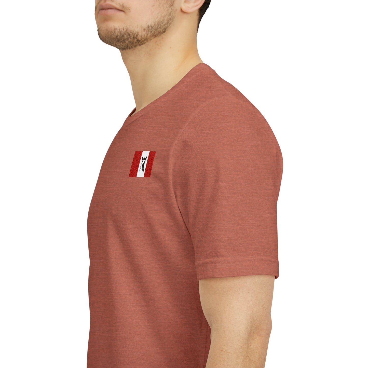 "Peruvian Flag/Llama" T-Shirt
