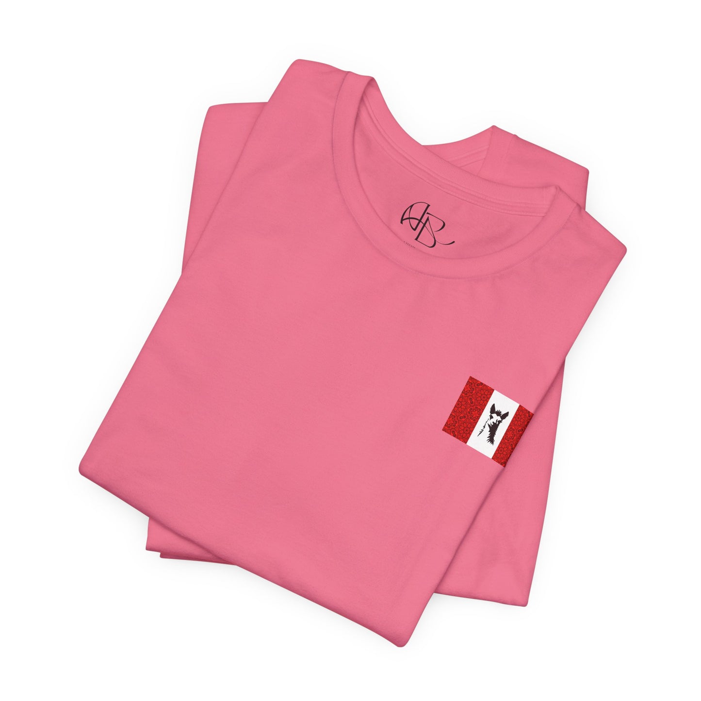 "Peruvian Flag/Llama" T-Shirt