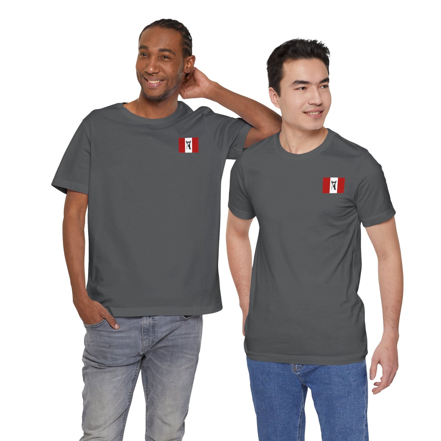 "Peruvian Flag/Llama" T-Shirt