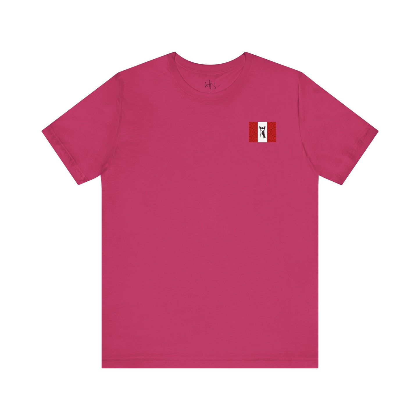"Peruvian Flag/Llama" T-Shirt