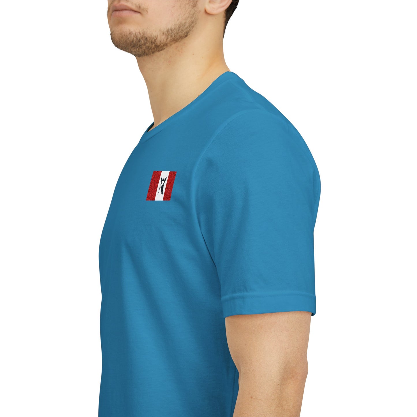 "Peruvian Flag/Llama" T-Shirt