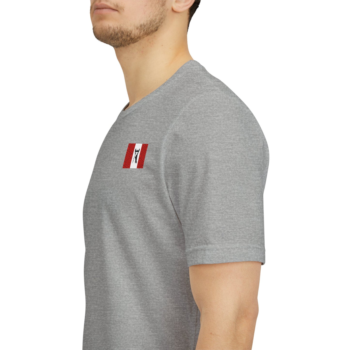 "Peruvian Flag/Llama" T-Shirt