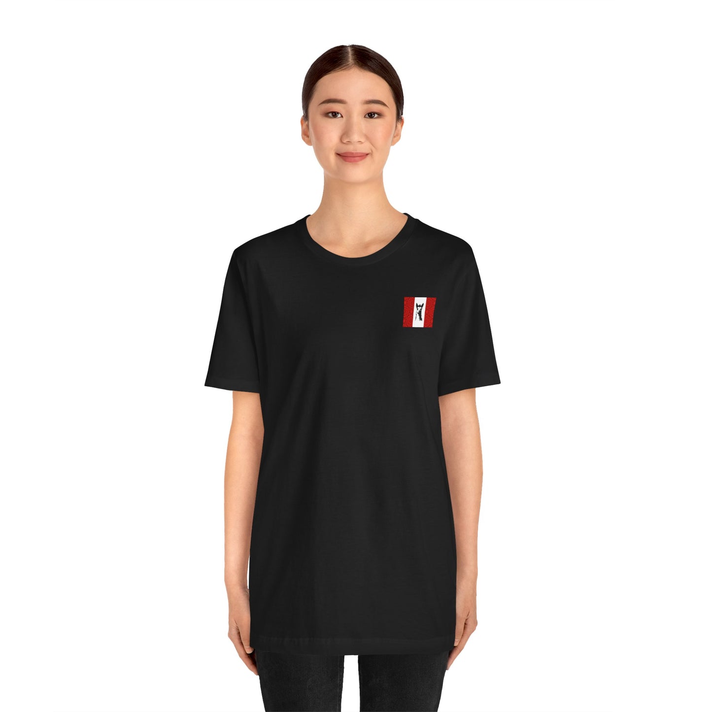 "Peruvian Flag/Llama" T-Shirt