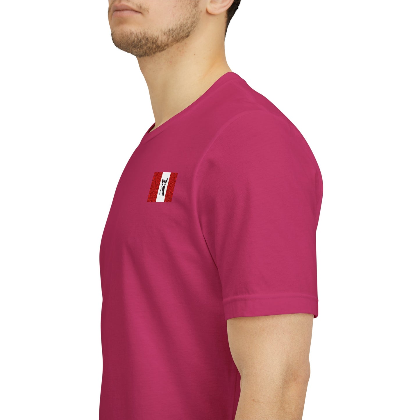 "Peruvian Flag/Llama" T-Shirt