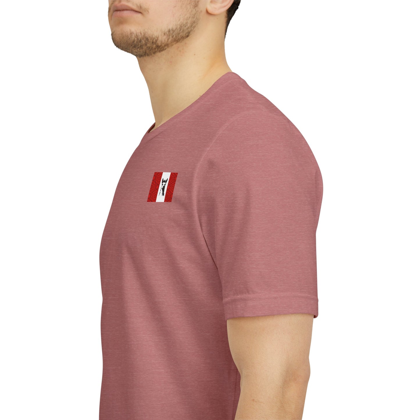 "Peruvian Flag/Llama" T-Shirt