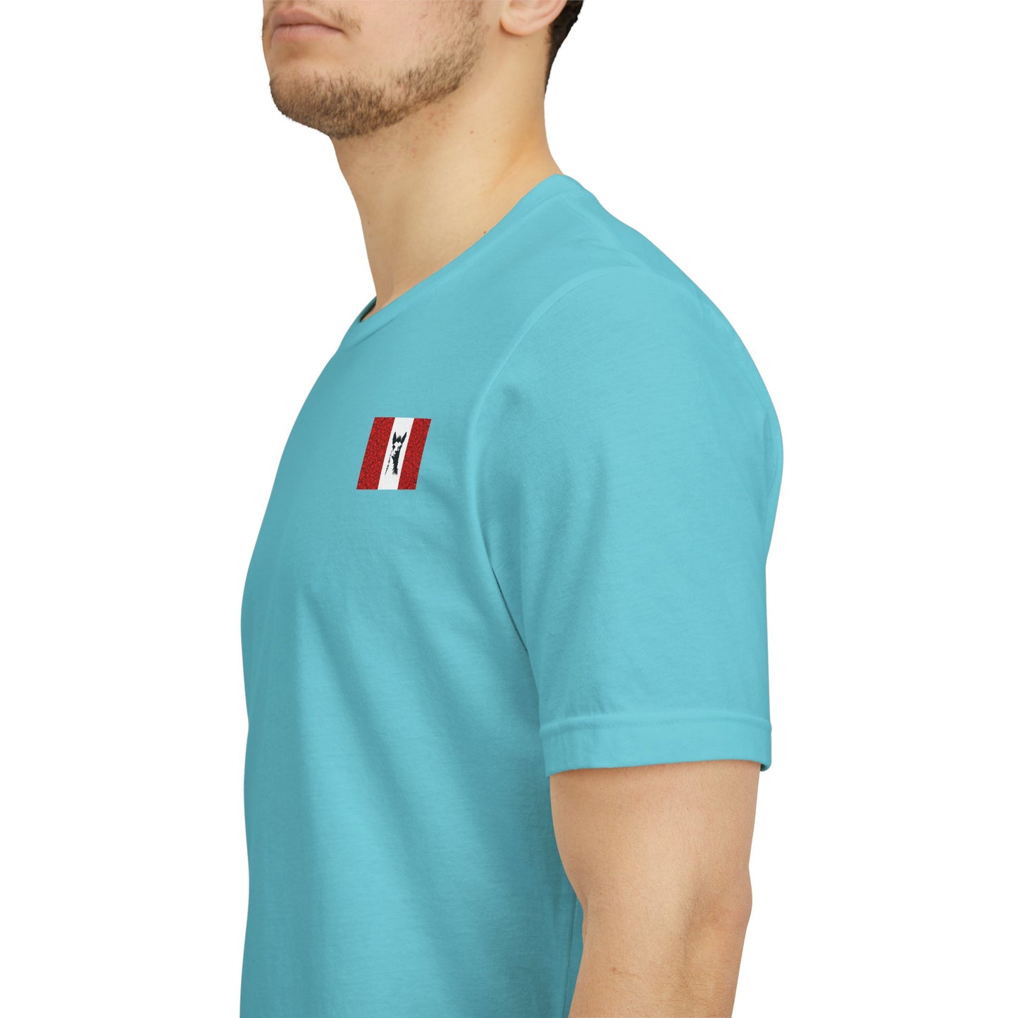 "Peruvian Flag/Llama" T-Shirt