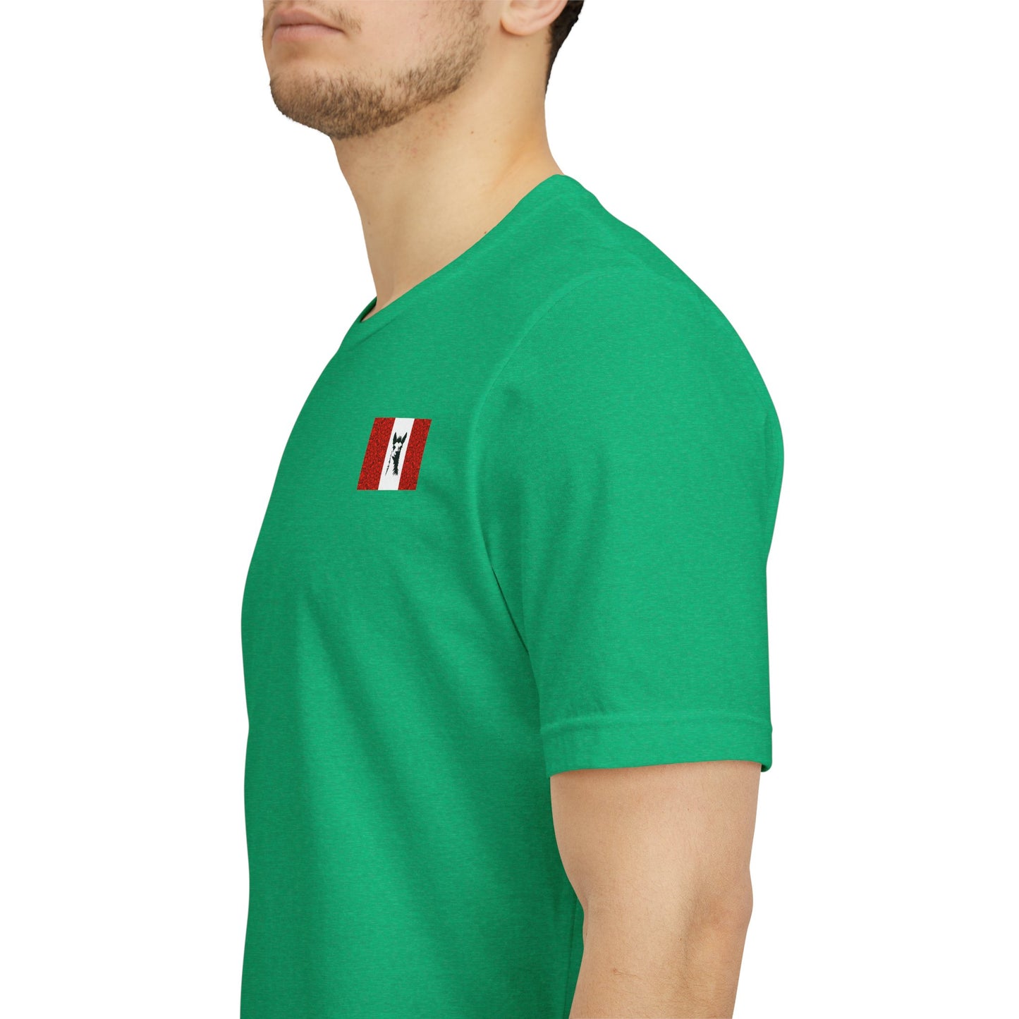 "Peruvian Flag/Llama" T-Shirt