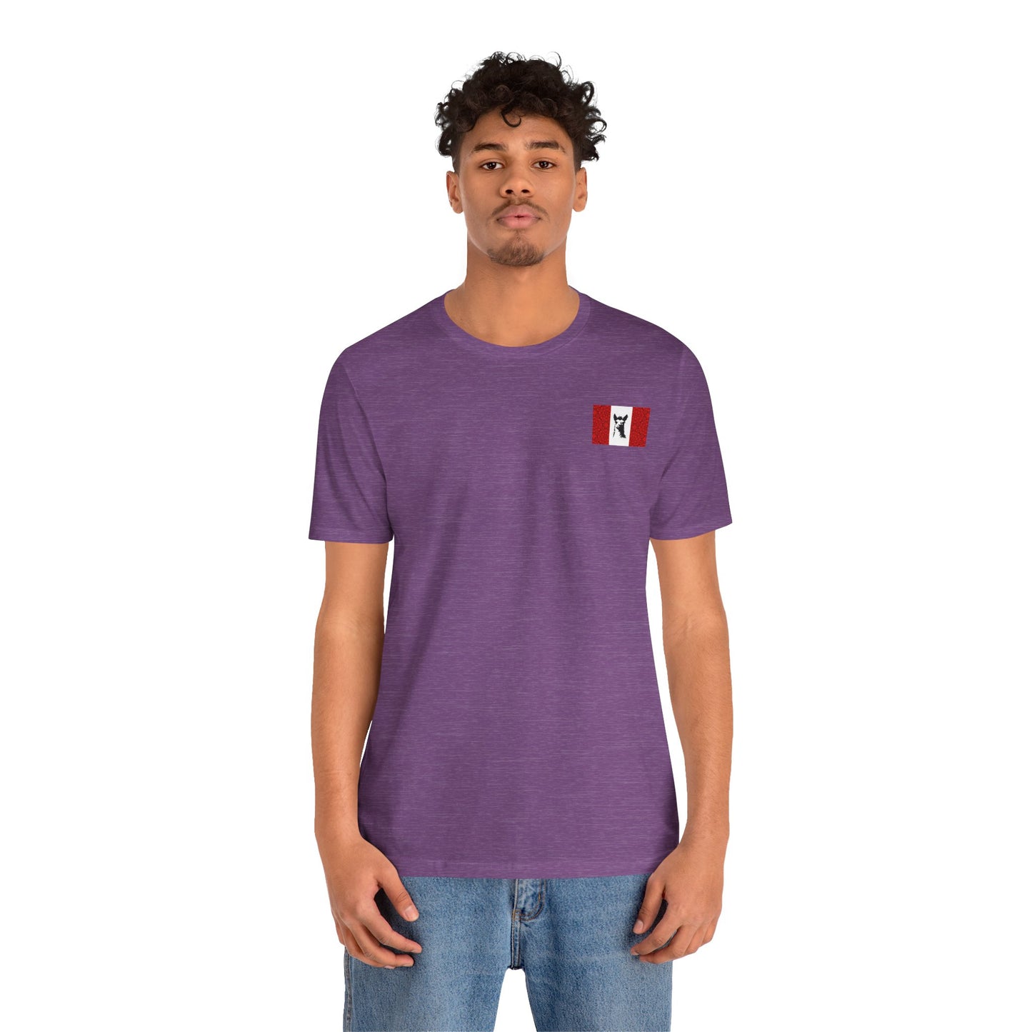 "Peruvian Flag/Llama" T-Shirt
