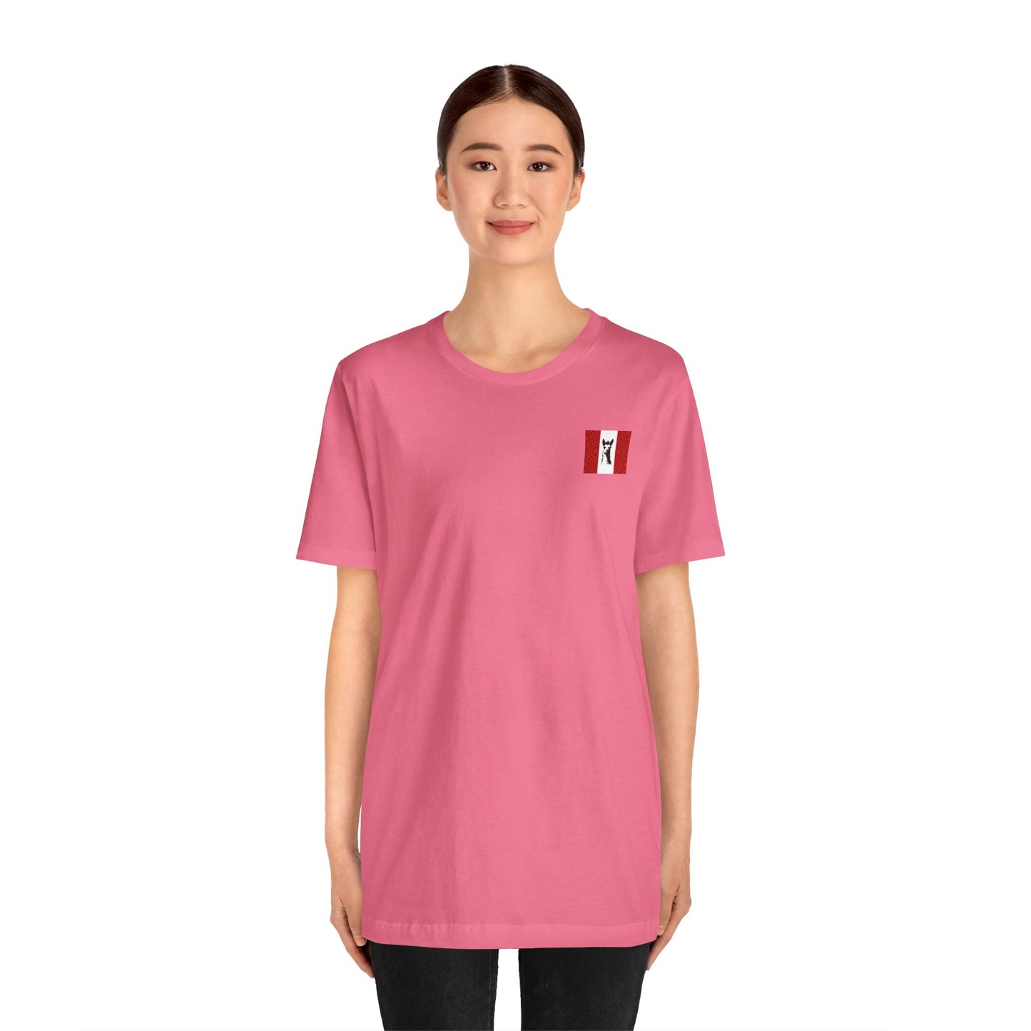 "Peruvian Flag/Llama" T-Shirt