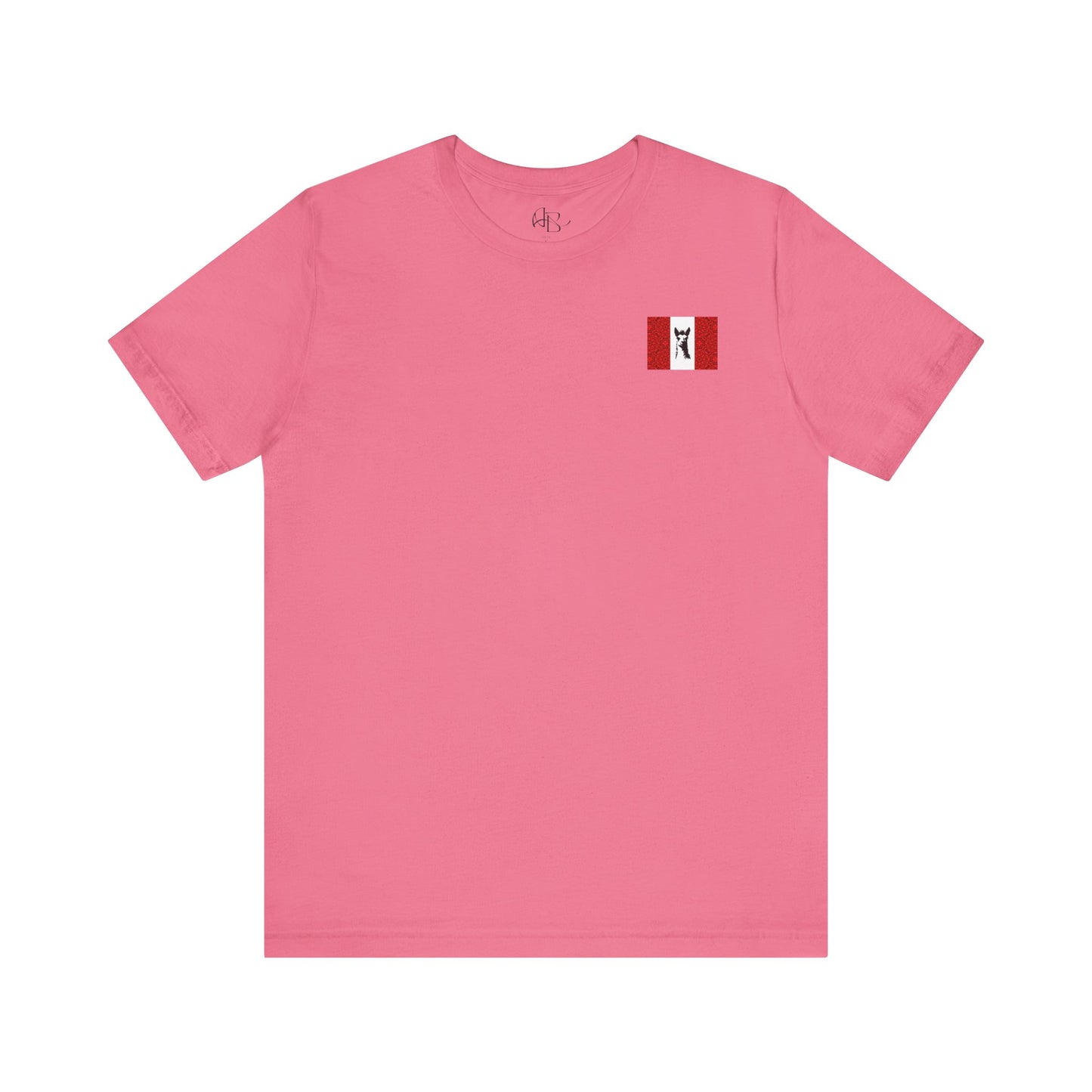 "Peruvian Flag/Llama" T-Shirt