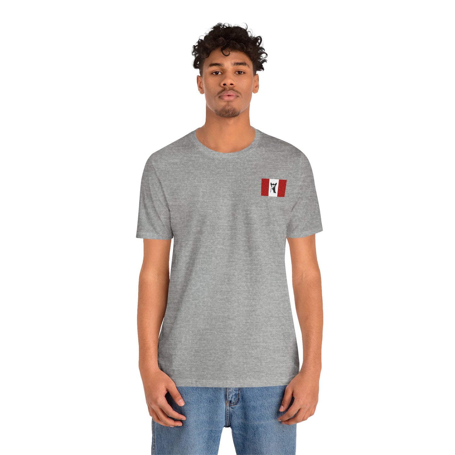 "Peruvian Flag/Llama" T-Shirt