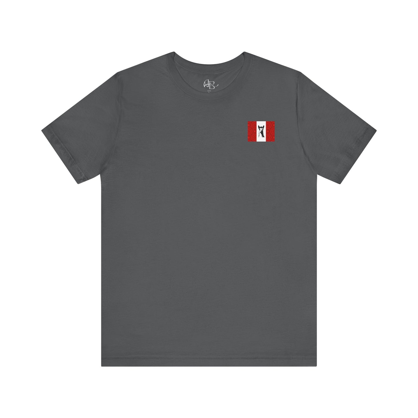 "Peruvian Flag/Llama" T-Shirt