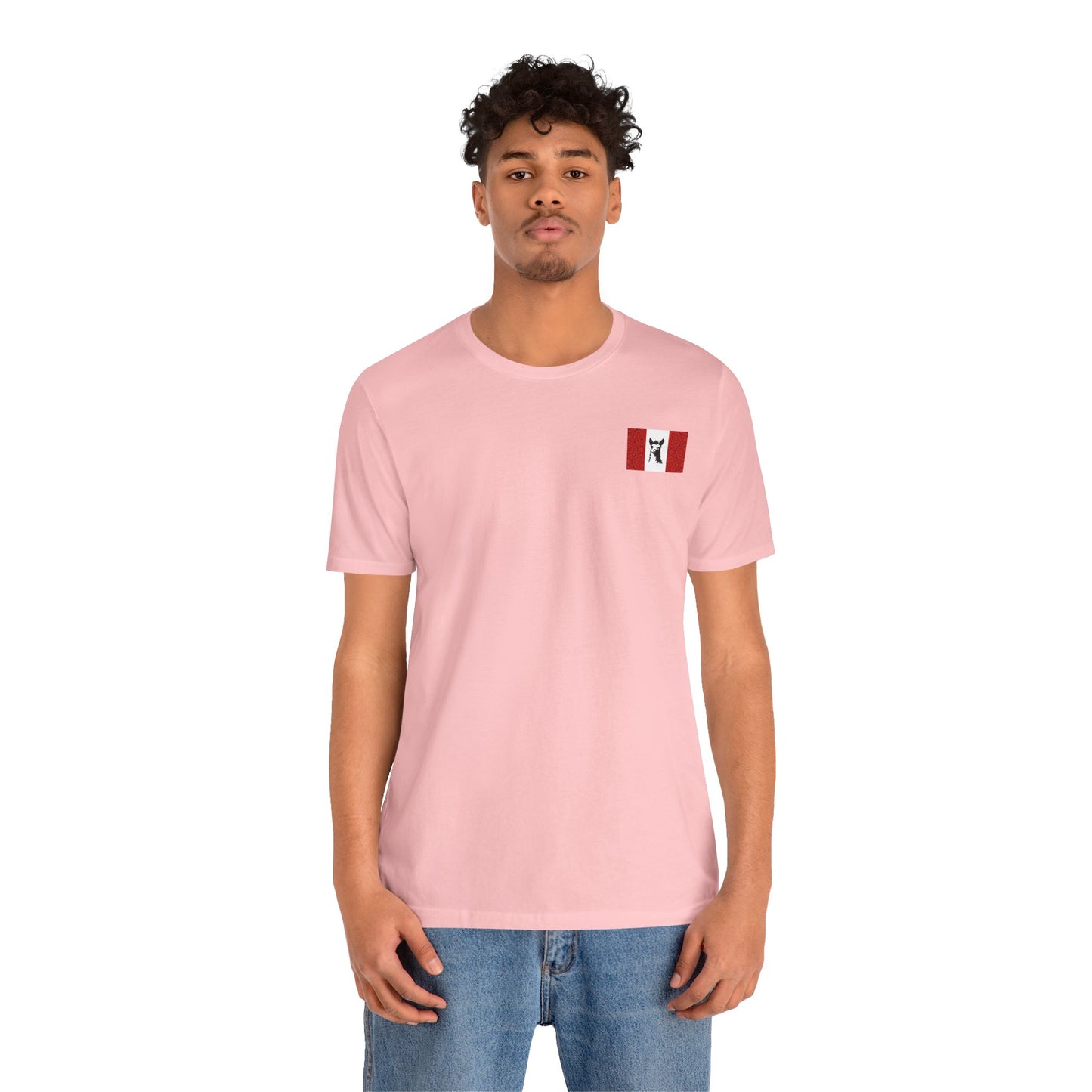 "Peruvian Flag/Llama" T-Shirt