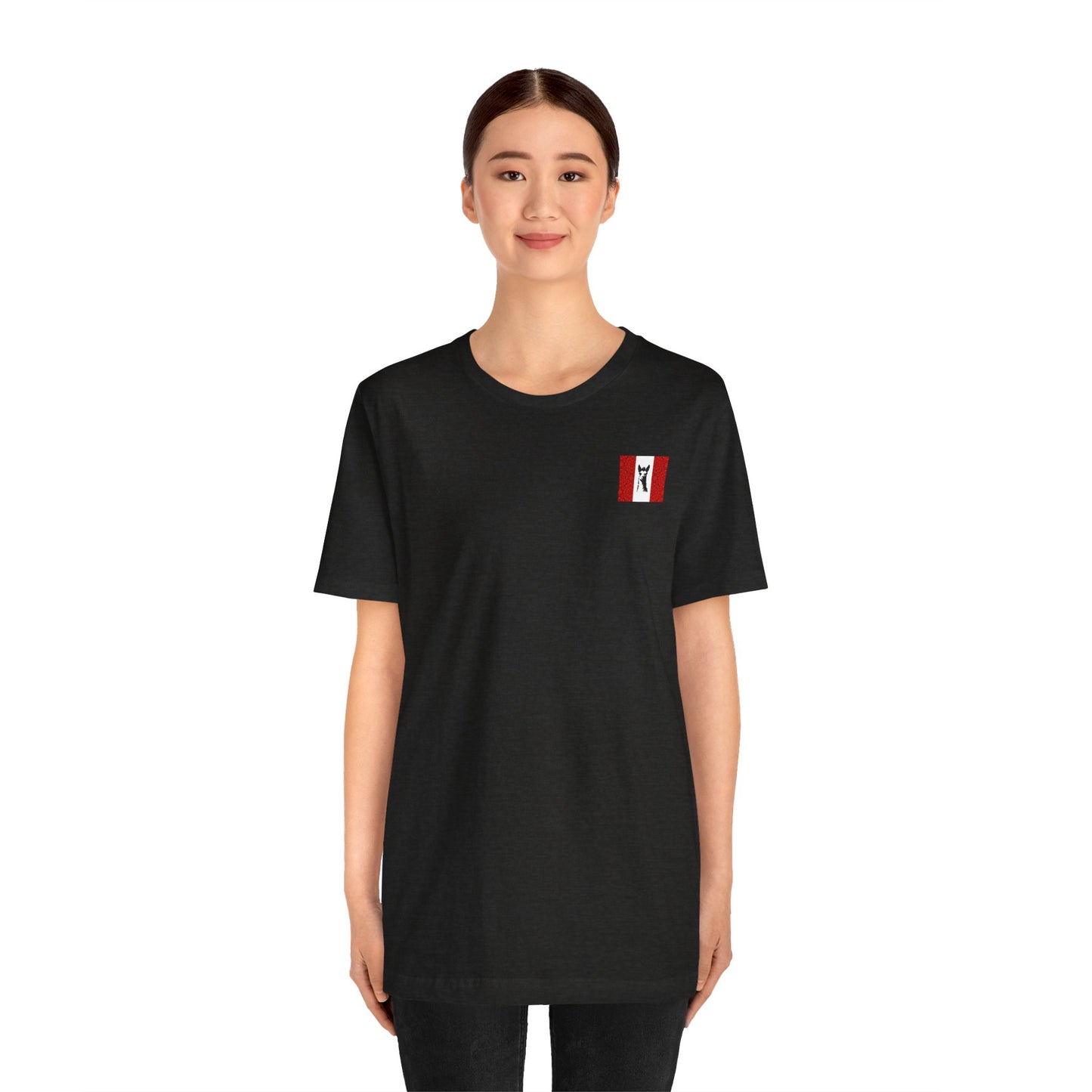 "Peruvian Flag/Llama" T-Shirt