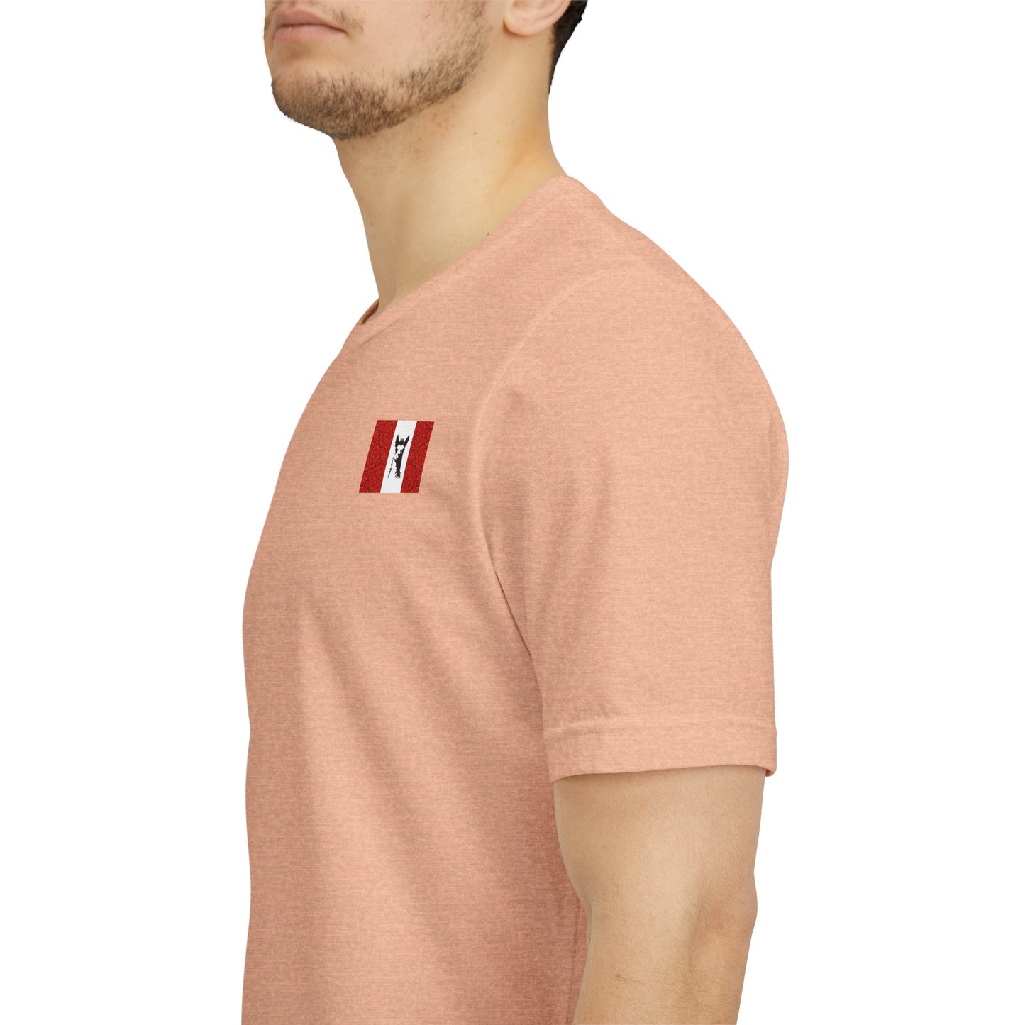 "Peruvian Flag/Llama" T-Shirt