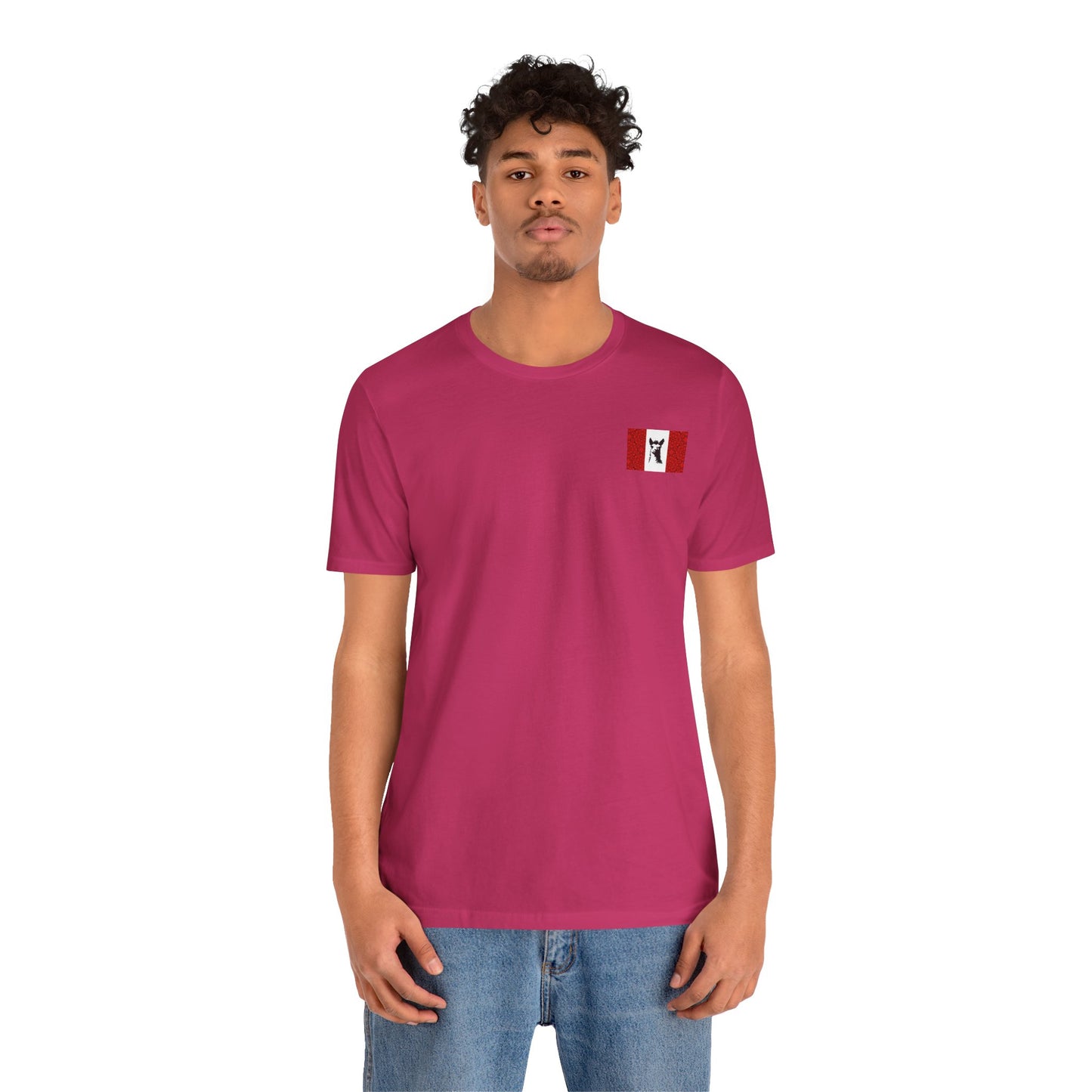 "Peruvian Flag/Llama" T-Shirt