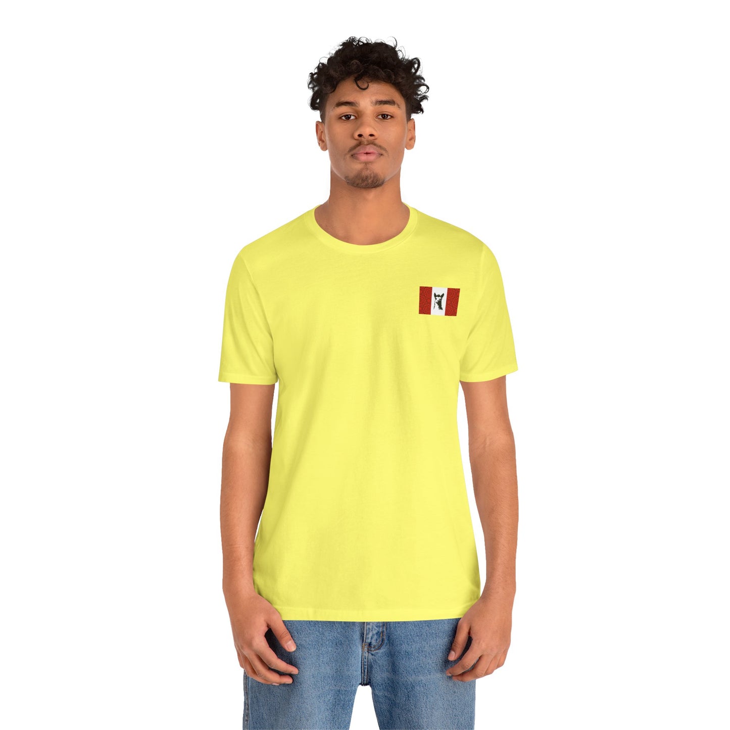 "Peruvian Flag/Llama" T-Shirt