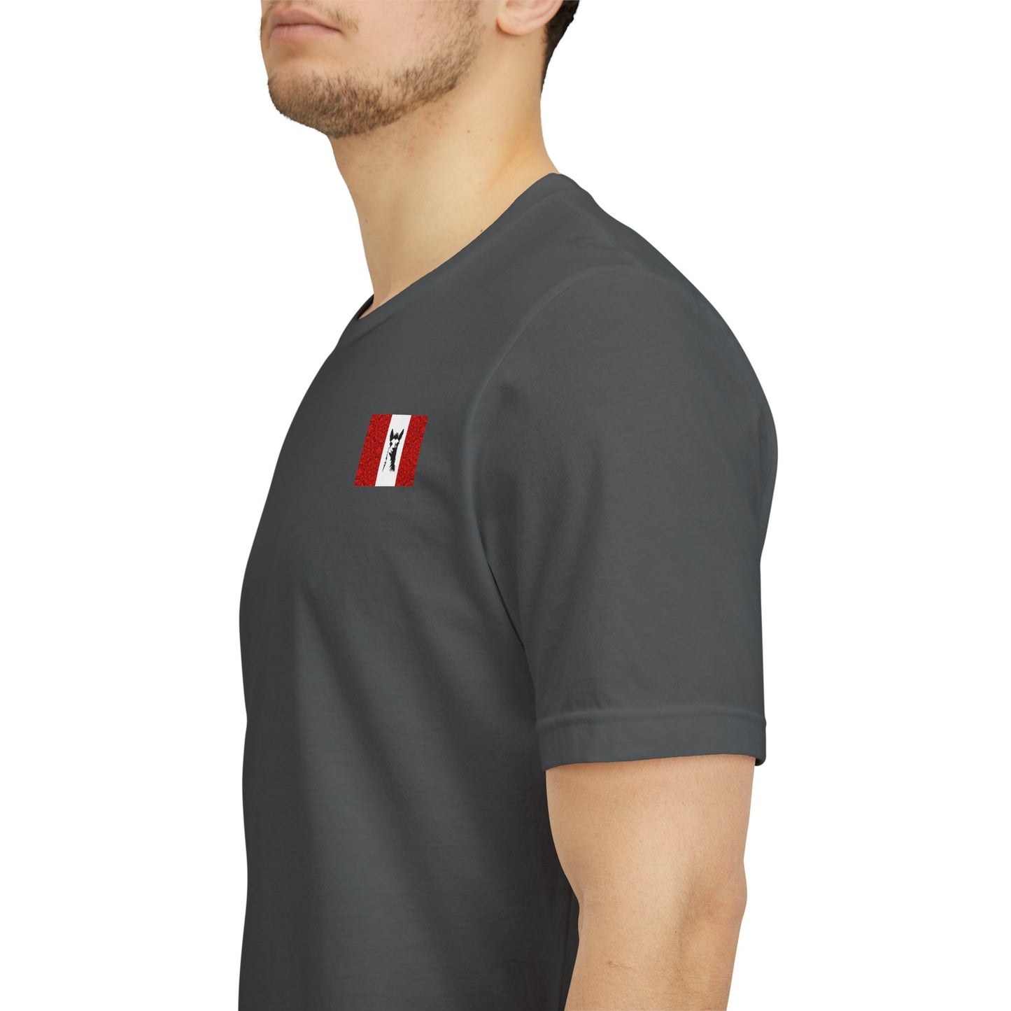"Peruvian Flag/Llama" T-Shirt