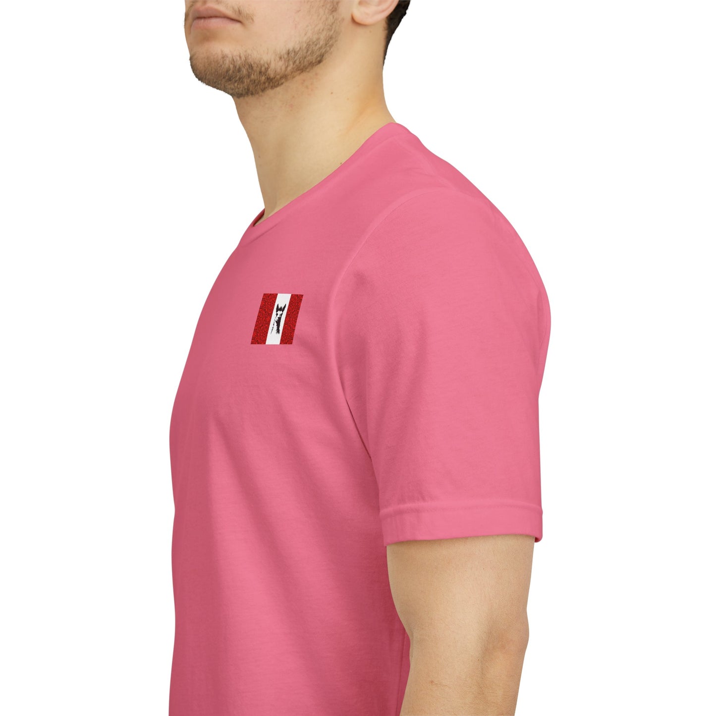 "Peruvian Flag/Llama" T-Shirt