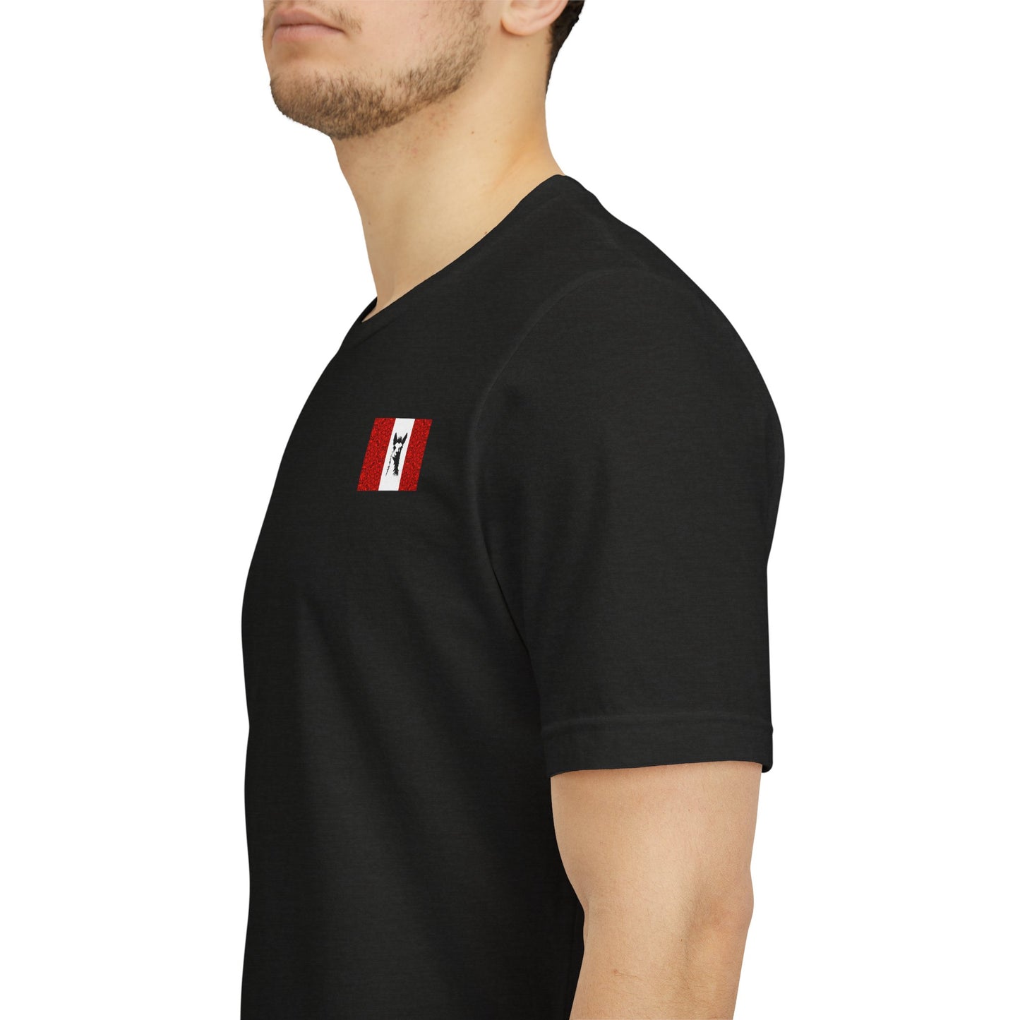 "Peruvian Flag/Llama" T-Shirt