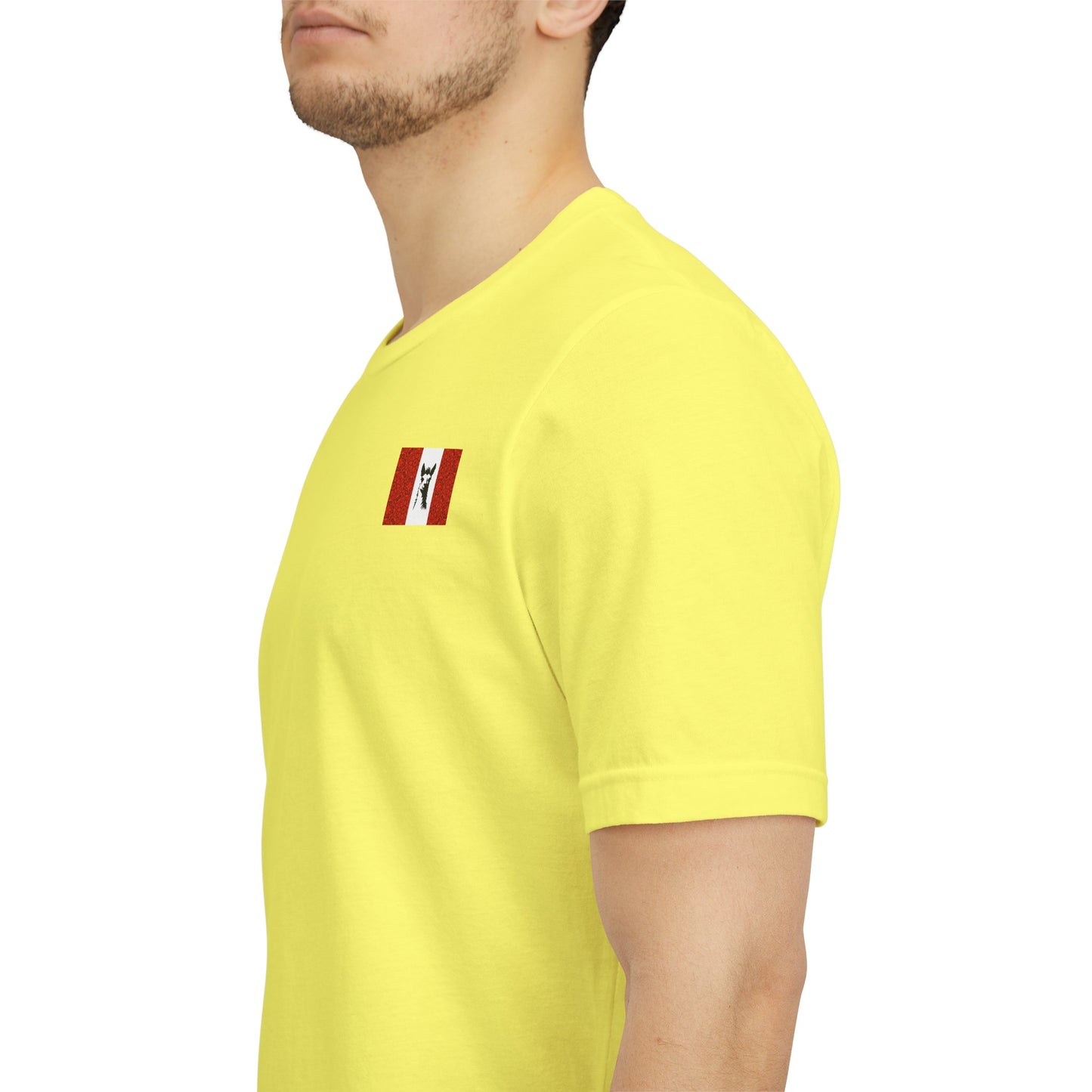 "Peruvian Flag/Llama" T-Shirt