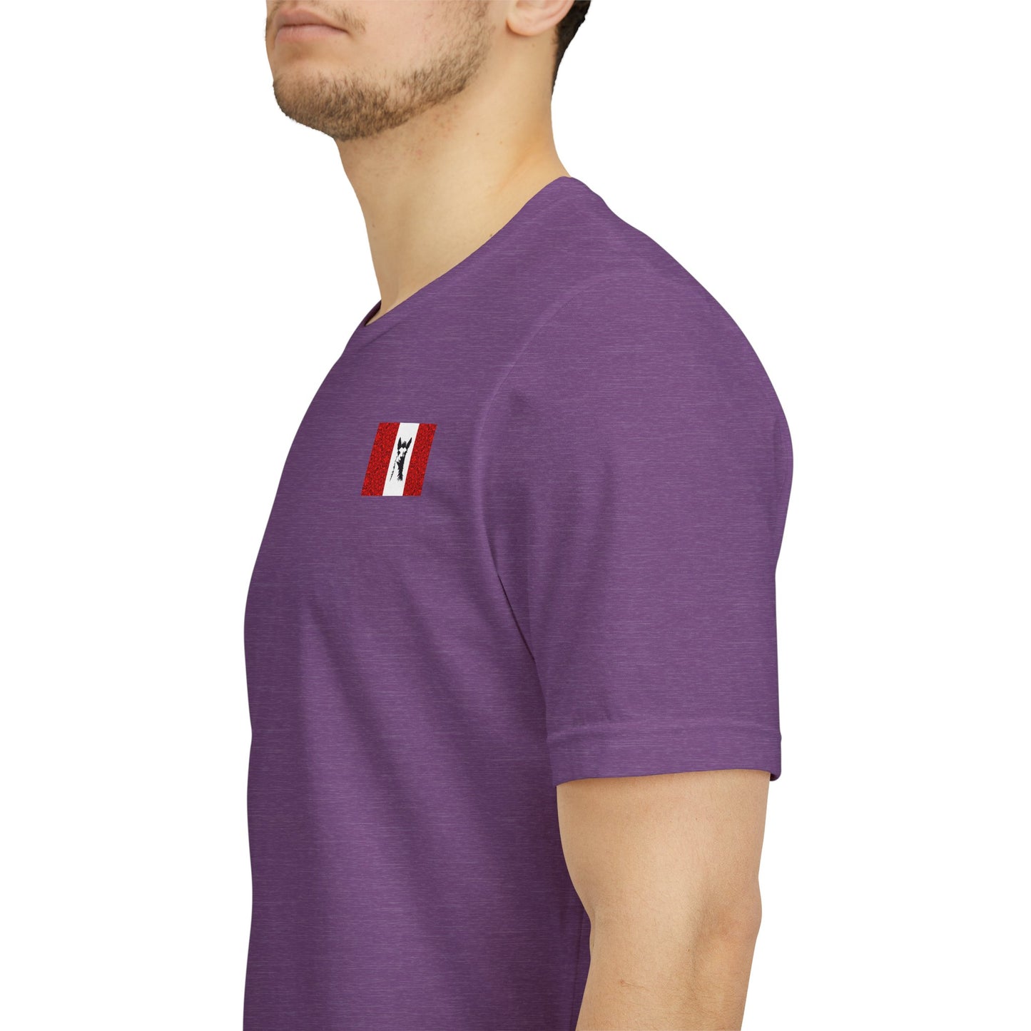 "Peruvian Flag/Llama" T-Shirt