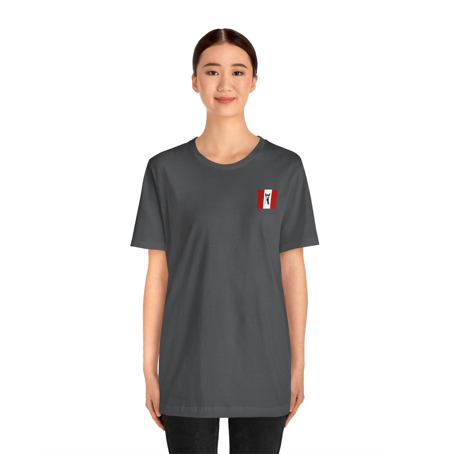"Peruvian Flag/Llama" T-Shirt